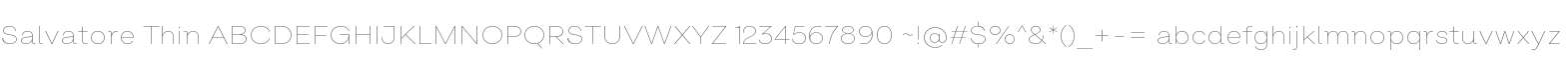 Salvatore Thin