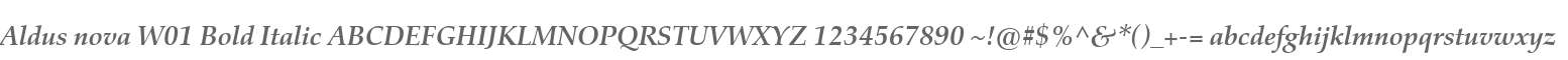 Aldus nova W01 Bold Italic