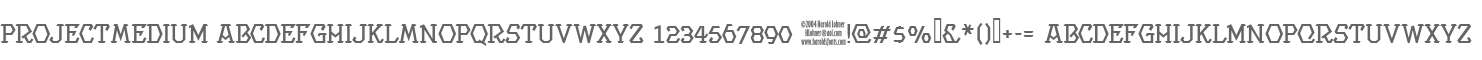 ProjectMedium