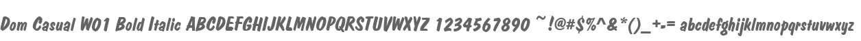 Dom Casual W01 Bold Italic