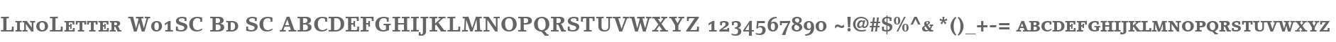 LinoLetter W01SC Bd SC