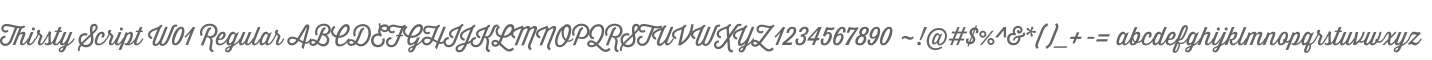 Thirsty Script W01 Regular