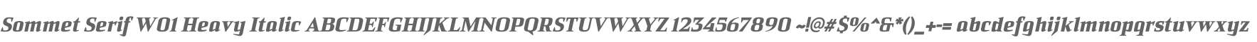 Sommet Serif W01 Heavy Italic