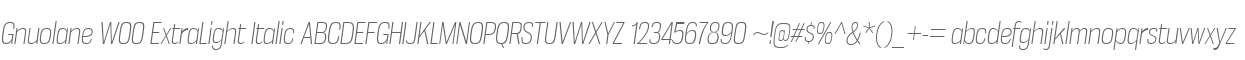 Gnuolane W00 ExtraLight Italic