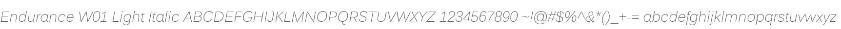 Endurance W01 Light Italic