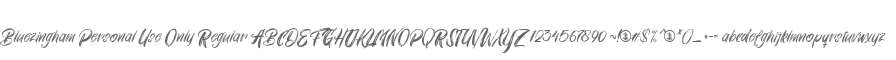 Bluezingham Personal Use Only Regular