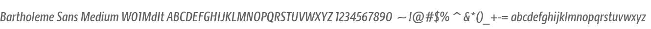 Bartholeme Sans Medium W01MdIt