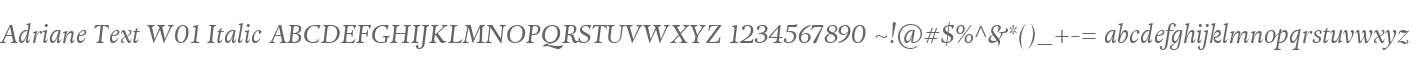 Adriane Text W01 Italic