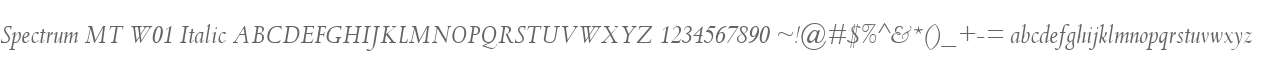 Spectrum MT W01 Italic