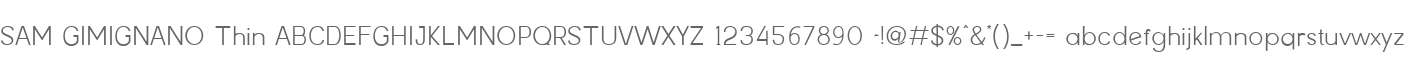 SAM GIMIGNANO Thin