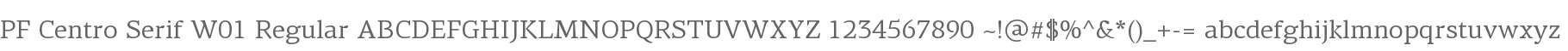 PF Centro Serif W01 Regular