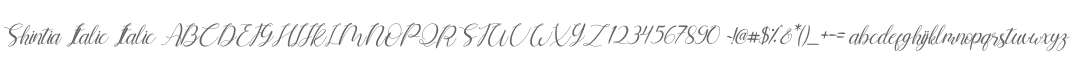 Shintia Italic Italic