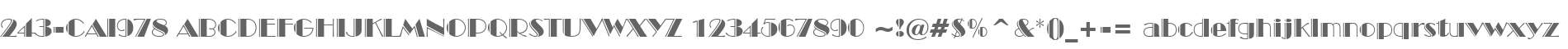 243-CAI978