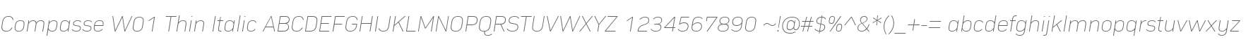 Compasse W01 Thin Italic