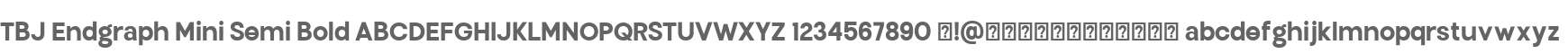TBJ-45-extra Bold Sans Family SmBd
