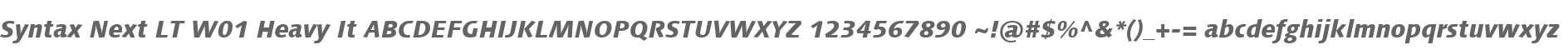 Syntax Next LT W01 Heavy It