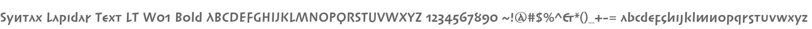 Syntax Lapidar Text LT W01 Bold