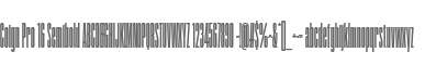 Coign Pro 16 Semibold