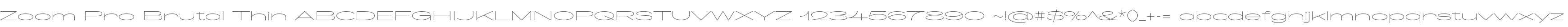Zoom Pro Brutal Thin