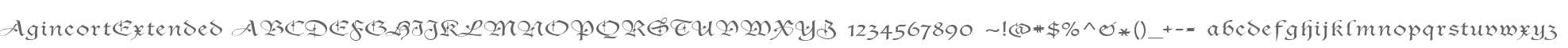 AgincortExtended