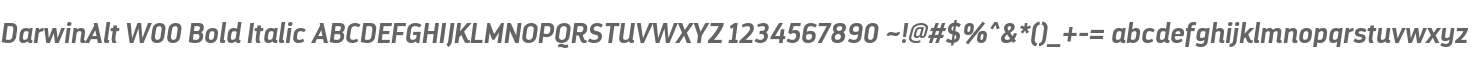 DarwinAlt W00 Bold Italic