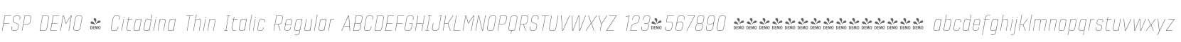 FSP DEMO - Citadina Thin Italic