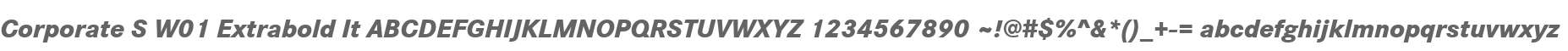 Corporate S W01 Extrabold It