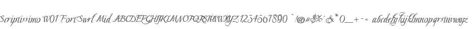 Scriptissimo W01 Fort Swrl Mid