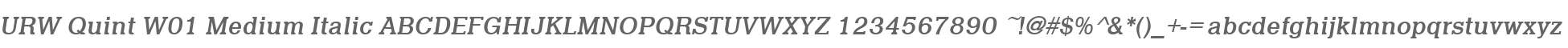 URW Quint W01 Medium Italic