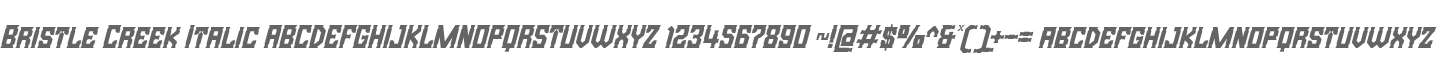 Bristle Creek Italic