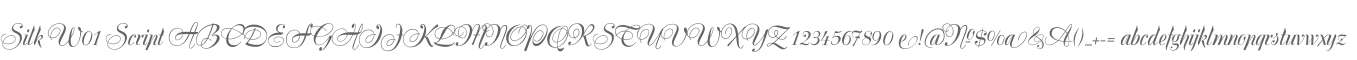 Silk W01 Script