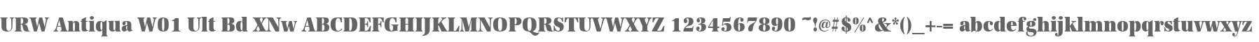 URW Antiqua W01 Ult Bd XNw