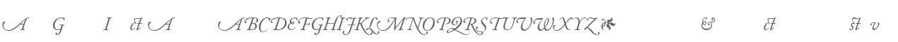 Adobe Garamond Italic Alternate