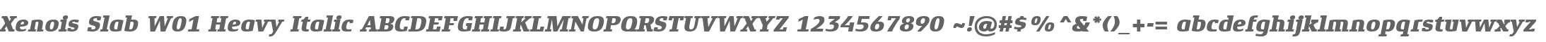 Xenois Slab W01 Heavy Italic