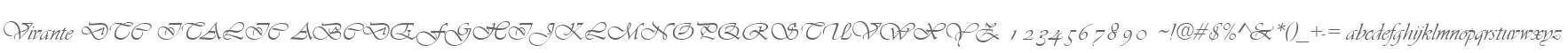 Vivante DTC ITALIC
