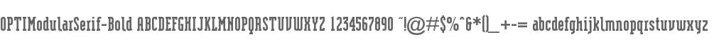 OPTIModularSerif