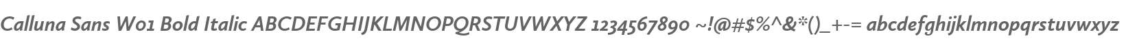 Calluna Sans W01 Bold Italic