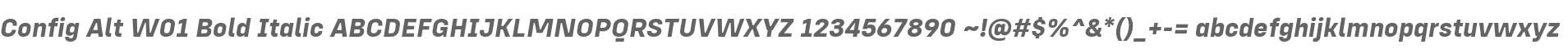 Config Alt W01 Bold Italic