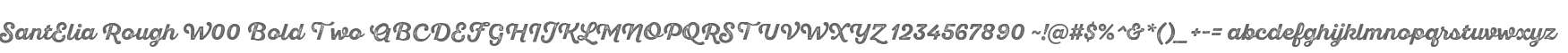SantElia Rough W00 Bold Two