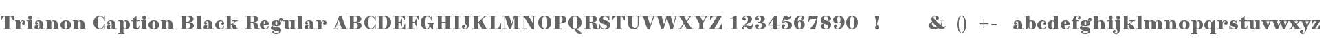 Trianon Caption Black Regular