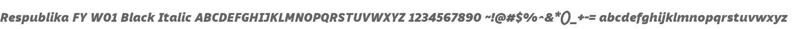 Respublika FY W01 Black Italic