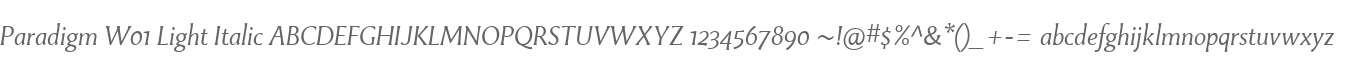 Paradigm W01 Light Italic