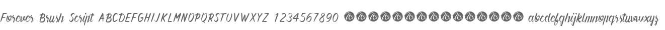 Forever Brush Script