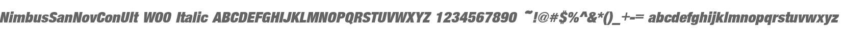 NimbusSanNovConUlt W00 Italic