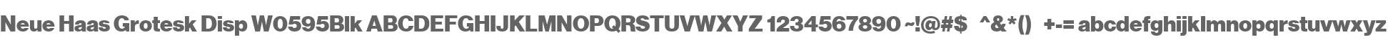 Neue Haas Grotesk Disp W0595Blk