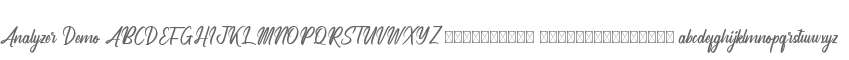 Analyzer Demo