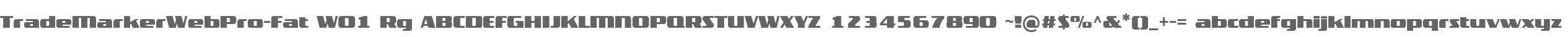 TradeMarkerWebPro-Fat W01 Rg