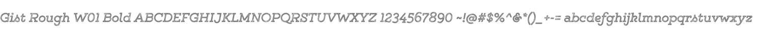 Gist Rough W01 Bold