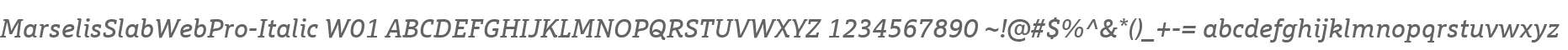 MarselisSlabWebPro-Italic W01