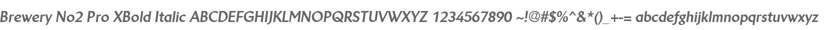Brewery No2 Pro XBold Italic